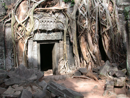 Cambodia, Siem Reap, May 2003.
Angkor.
Roots growing over doorway, Ta Phrohm temple. 
