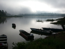 Malaysia, Lake Chini, July 2002.
Misty morning.
Mist in the morning over Lake Chini. 
